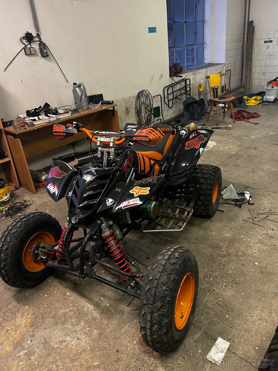 650 Campell Bashan 250 - 16