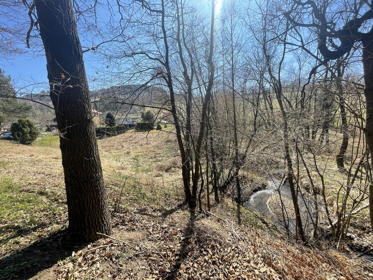 Prodej zahrady v Janovicích u Sušice 782 m2 - 16