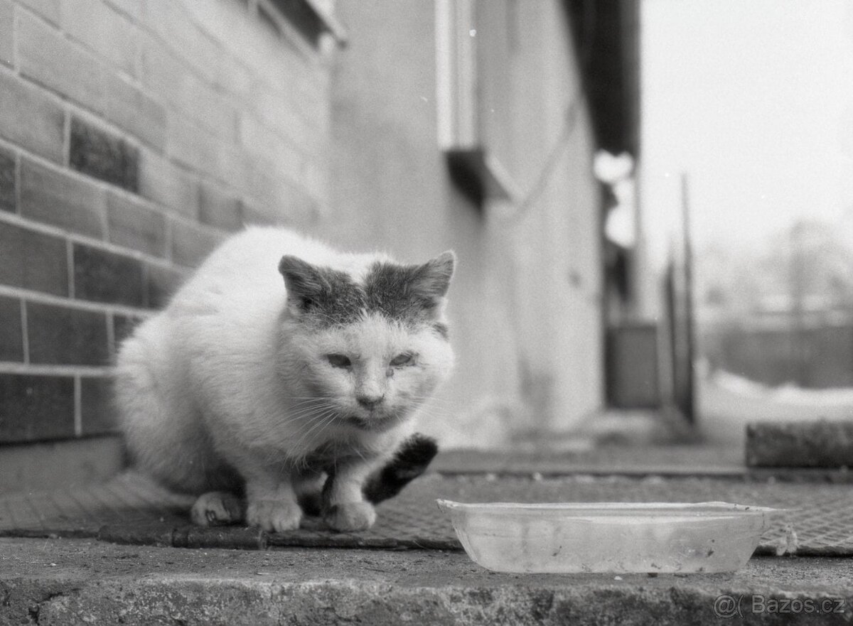 Hasselblad 500 C/M Konvolut – středoformátový set se 3 skly - 16