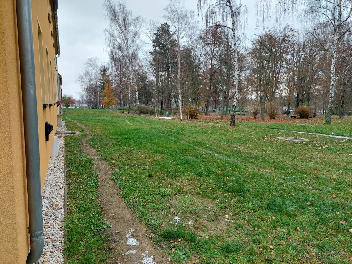 Prodej bytu 3+1,Riegerova ulice, Cheb - 16