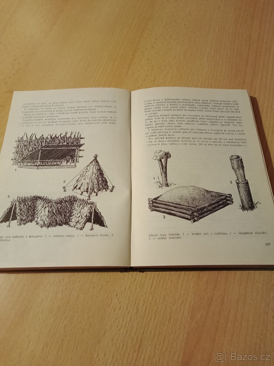 Myslivecká mluva, Myslivecké střelectví,Základy myslivosti - 16