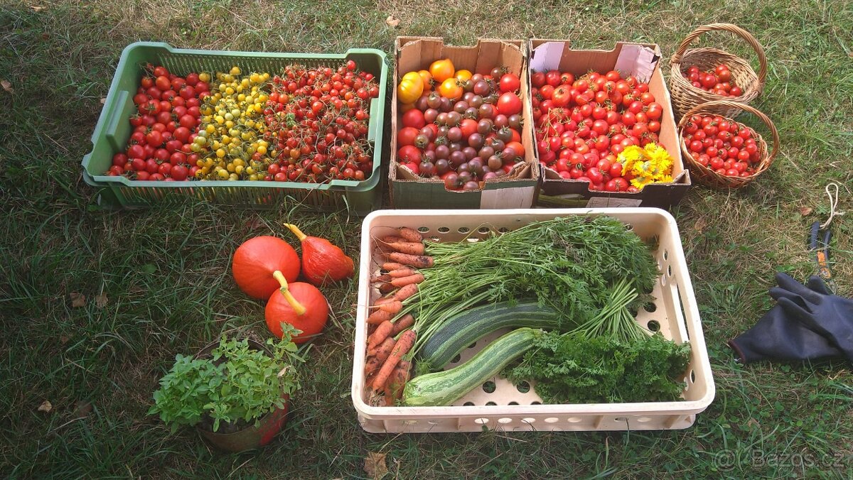 Zahrada/pozemek na Broumovsku - 16