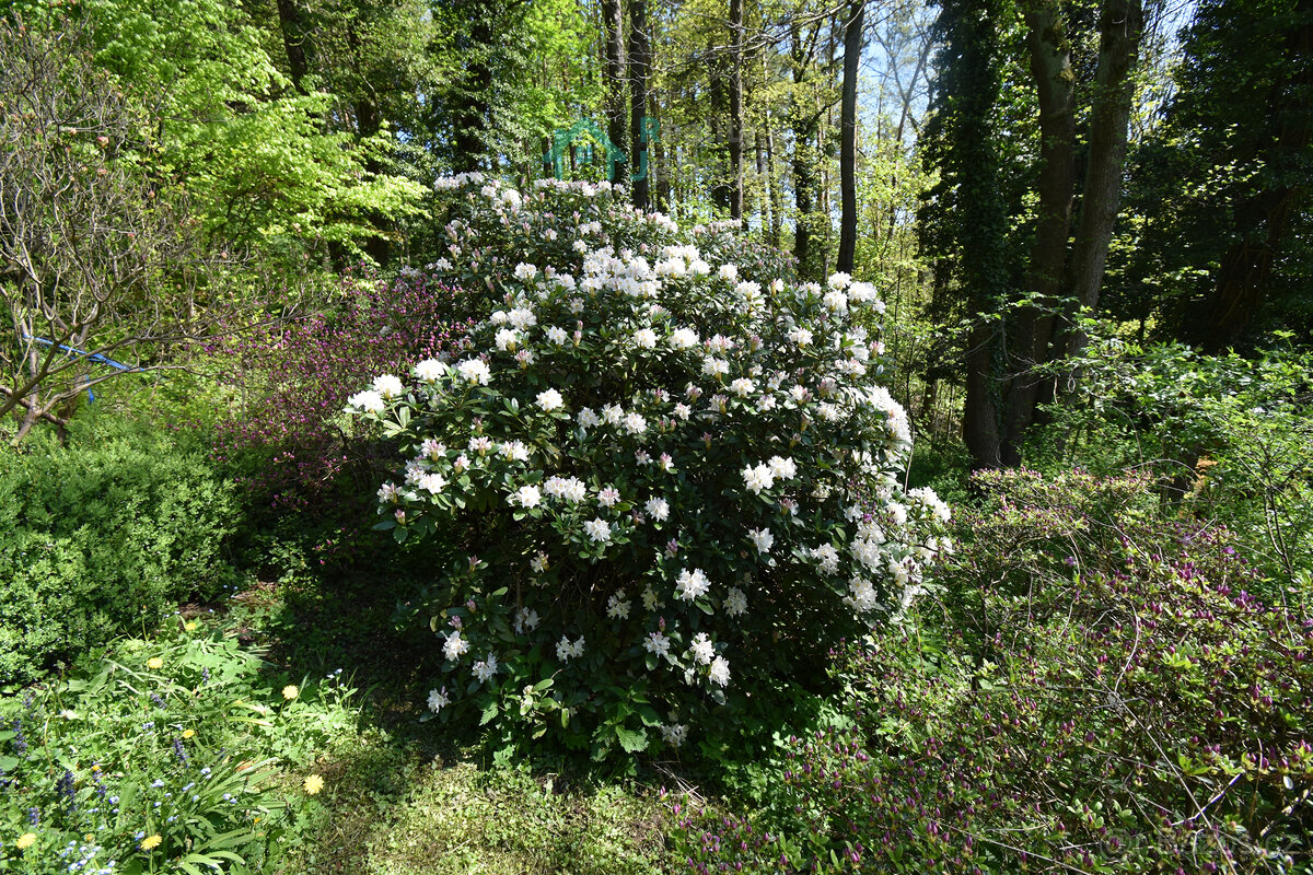 Prodej, Chata 40m2, Křížanovice - 16