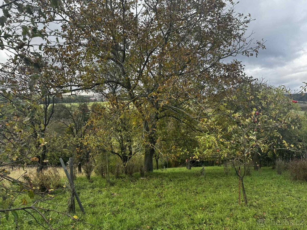 🌿 Prodej zahrady-sadu 1 872 m² – Soběchleby, okres Přerov - 16