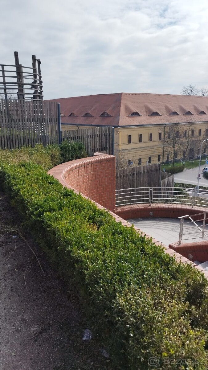 Pronájem bytu 2kk 67 m2 v historickém centru Hradce Králové - 16