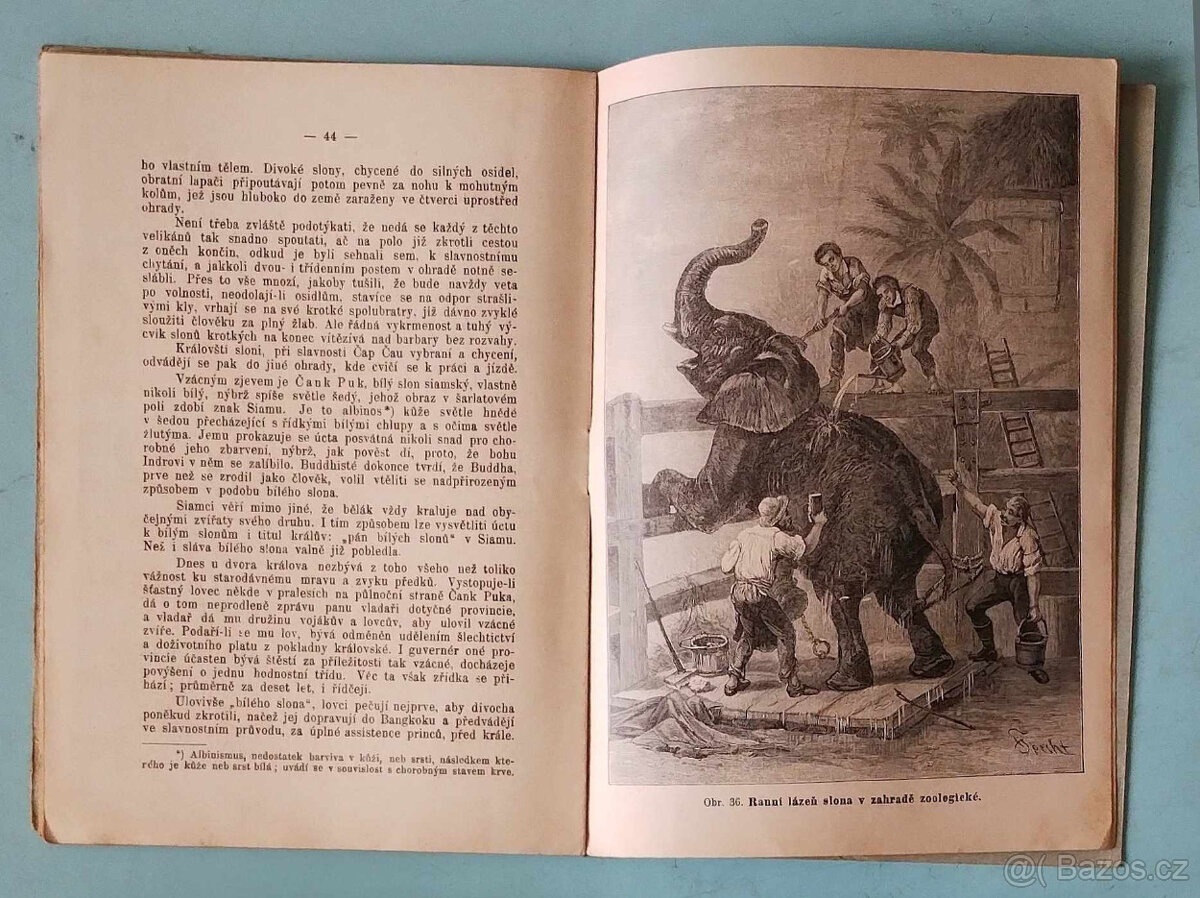 knihy psychologie, esoterika, příroda - 16