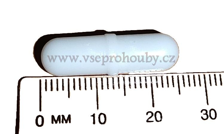 Sadba - Hlíva ústřičná, plicní, modrá, růžová, královská - 16