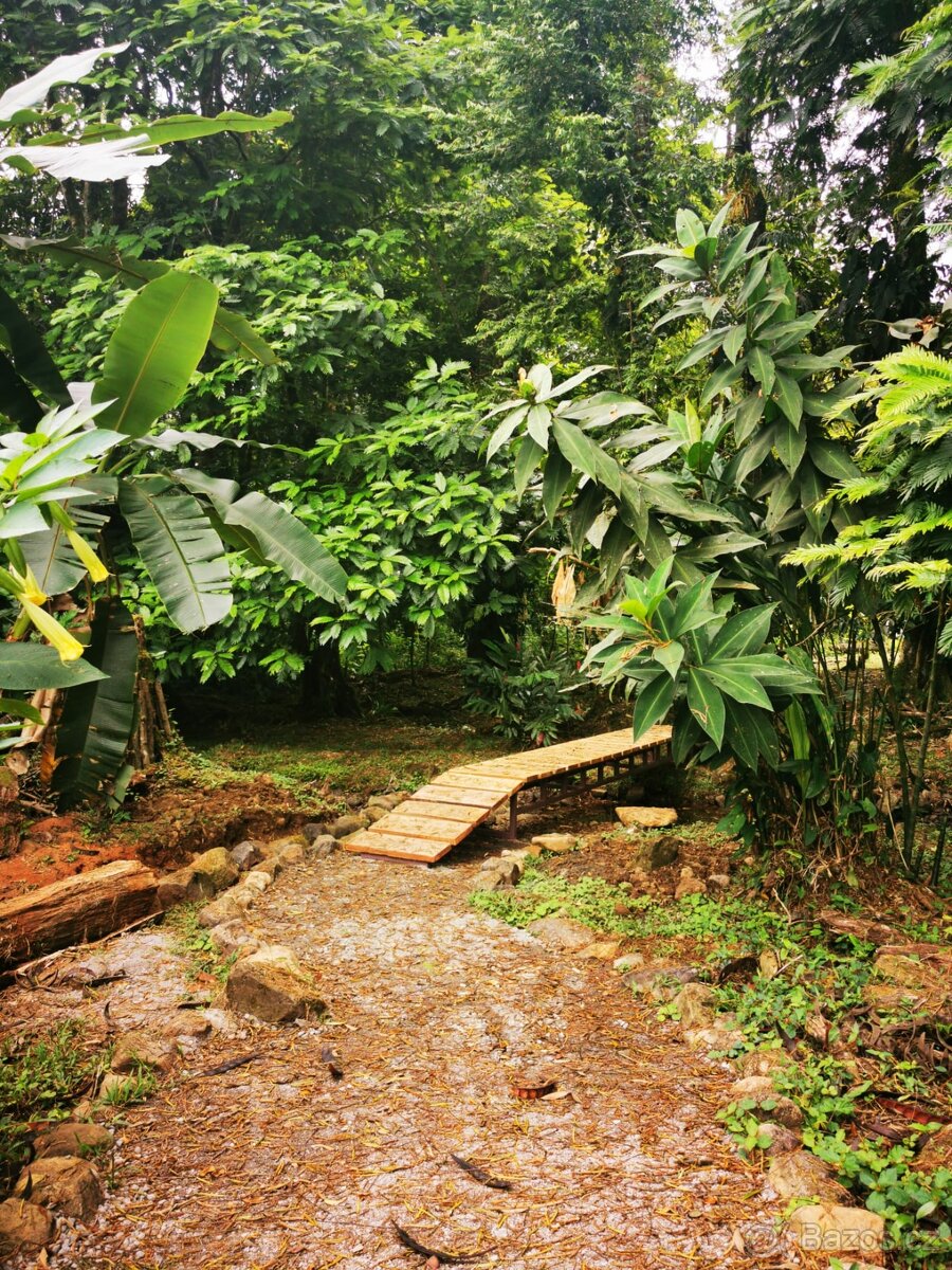 Pozemek s chatou Kostarika Heredia Sarapiqui - 16