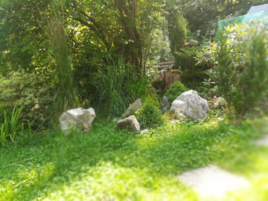 Zahradní chata Skalice - 16