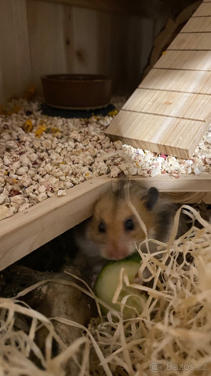 KLEC PRO KŘEČKA - 16