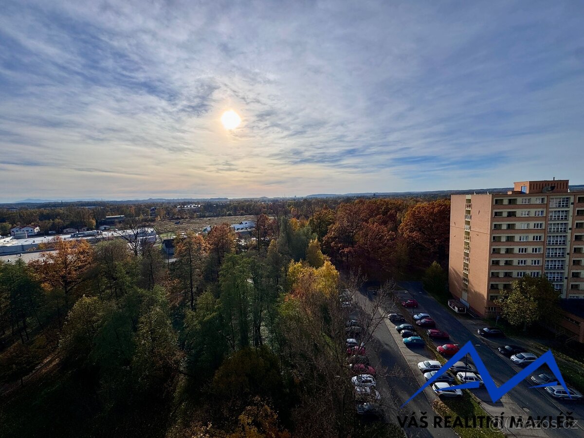 Prodej, byt 1+kk, Bohumín - Nový Bohumín, ul. Svat. Čecha - 16