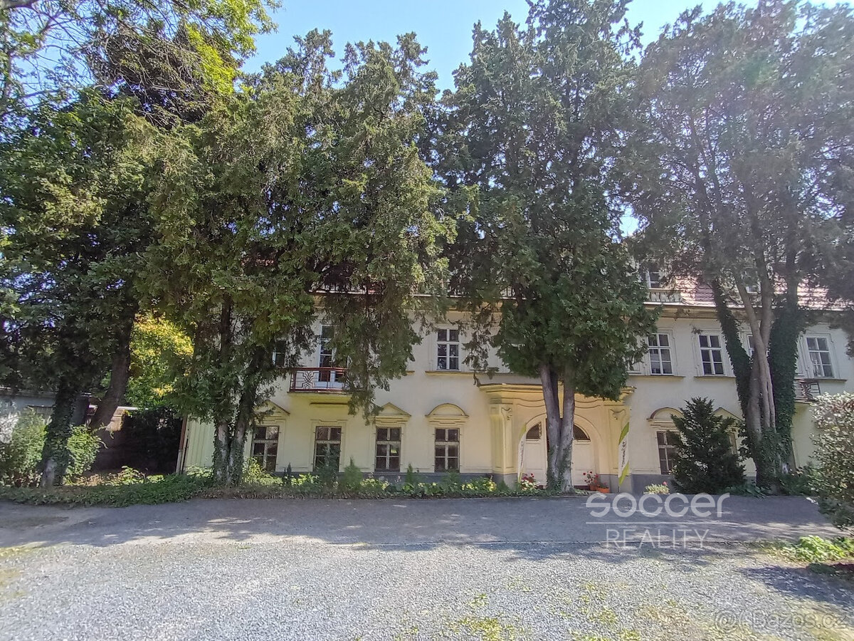 Pronájem reprezentativní kanceláře, 27m2, Praha 6 - Bubeneč, - 16