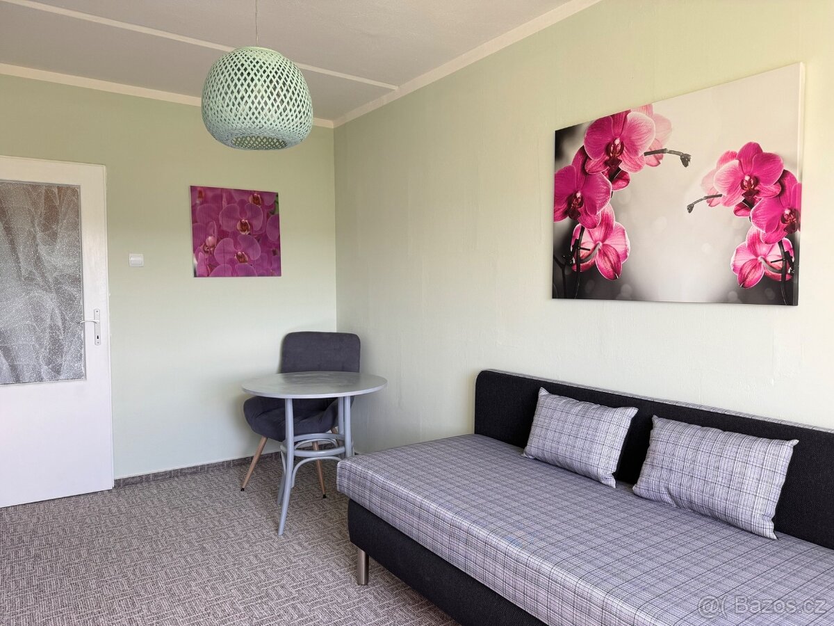Prodej bytu 4+kk 85 m², Teplice - Trnovany - 16