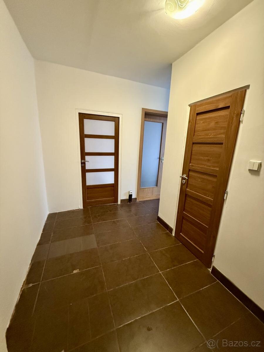 Pronájem bytu 2+1+L 55 m2 - 16