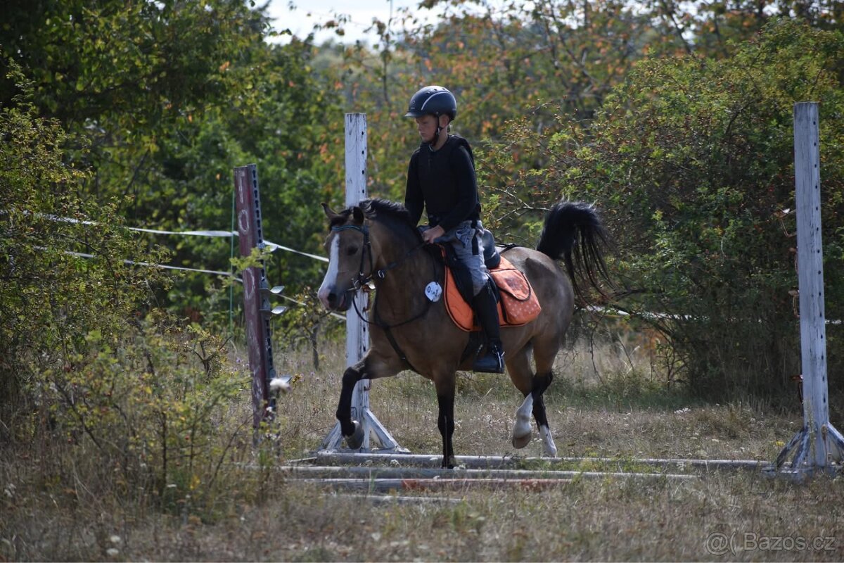 První pony pro děti - 16