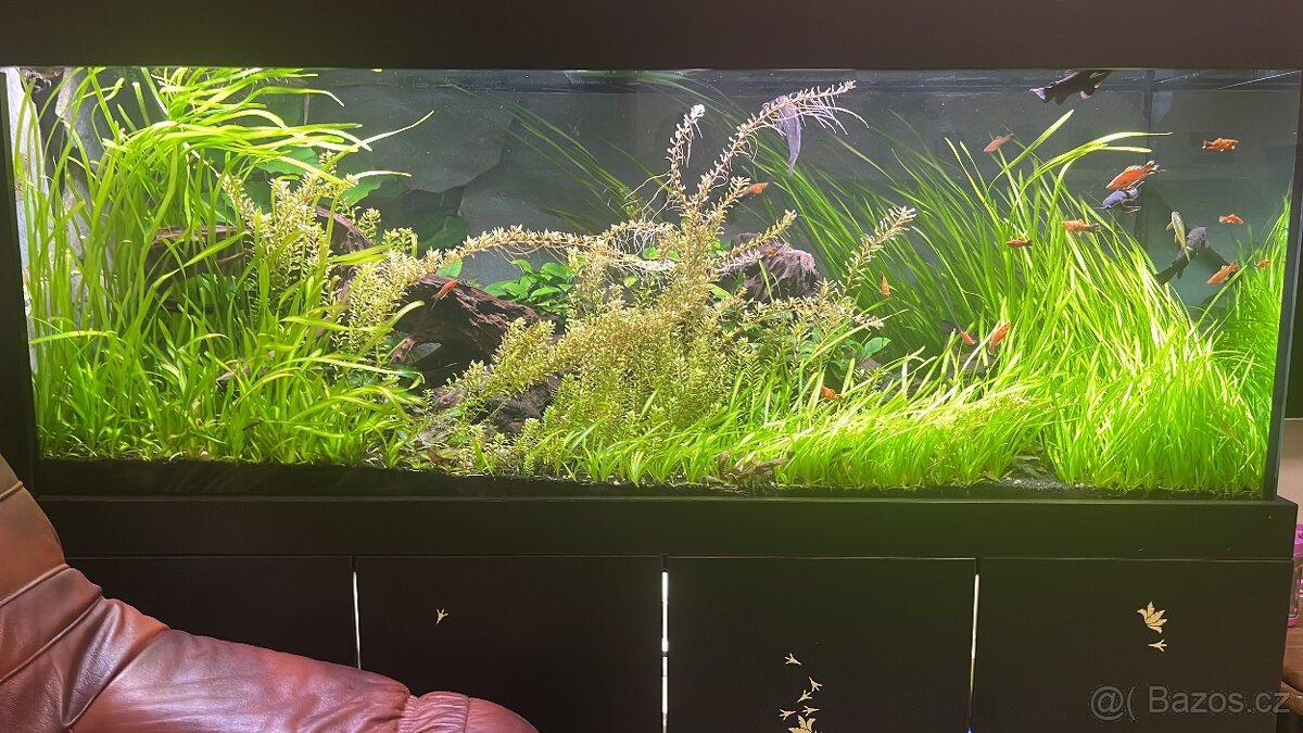 Akvárium cca 900litrů - 16