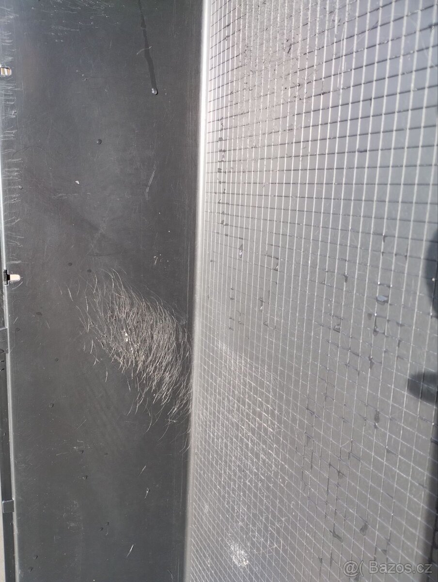 2 morčecí mladí samci nekastrovaní - jen spolu - 16