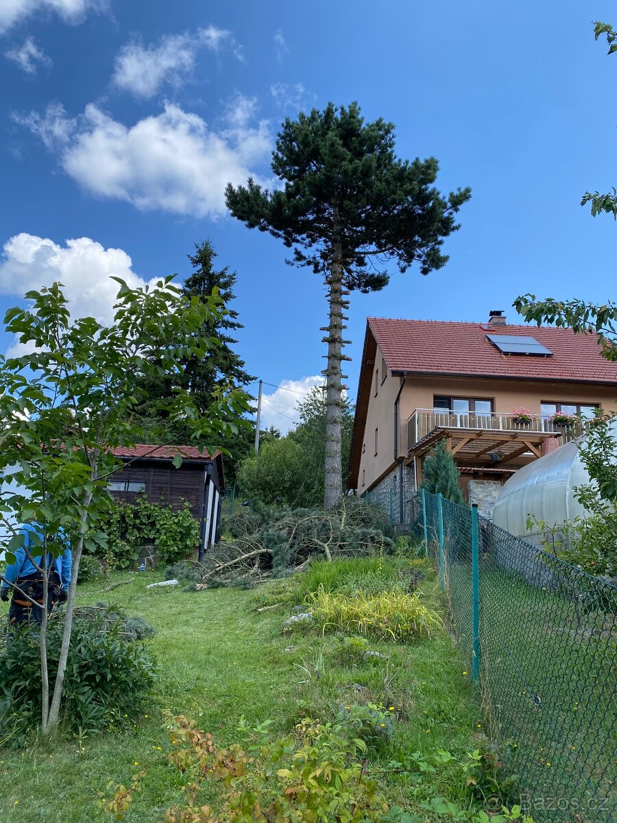 Realizace a údržba zahrad a veřejné zeleně - 16