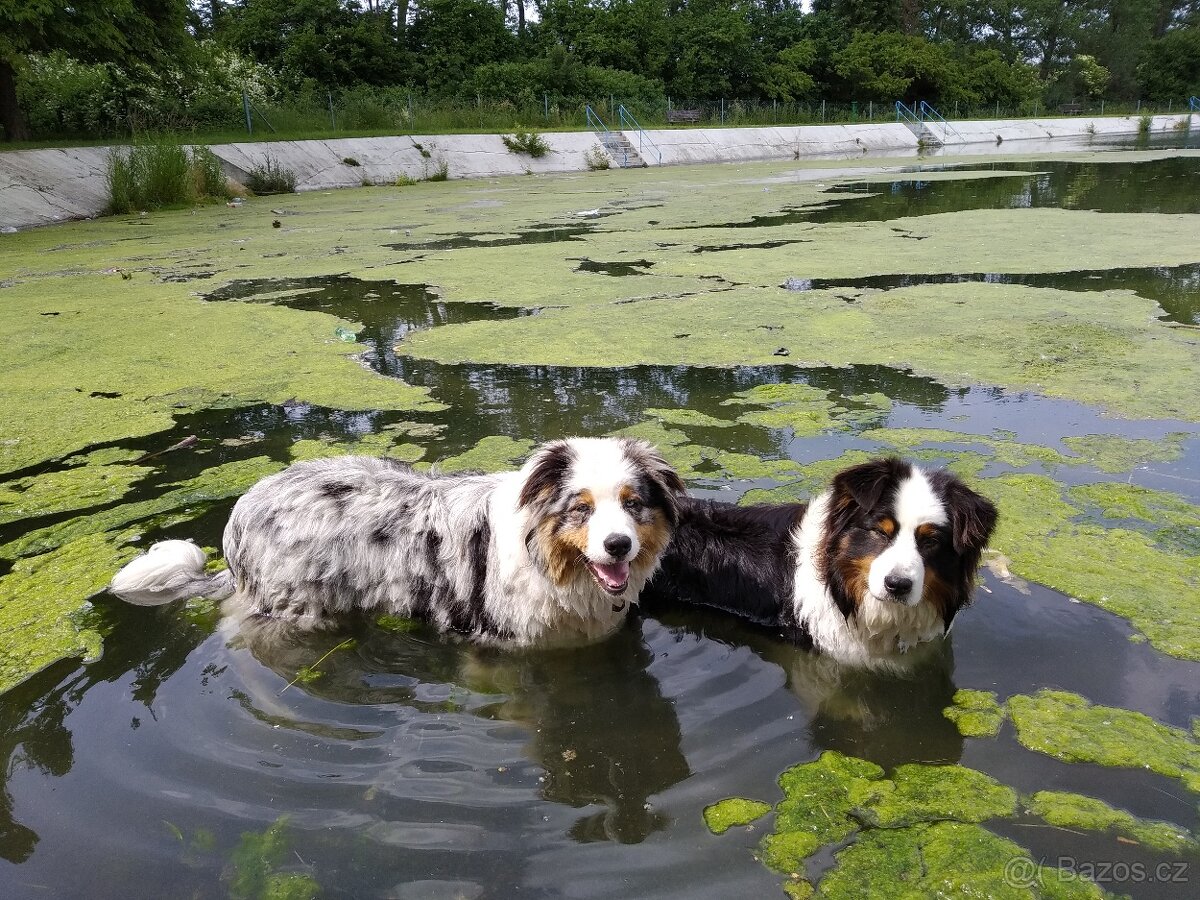 Rodinný dům ve Verneřicích - 16