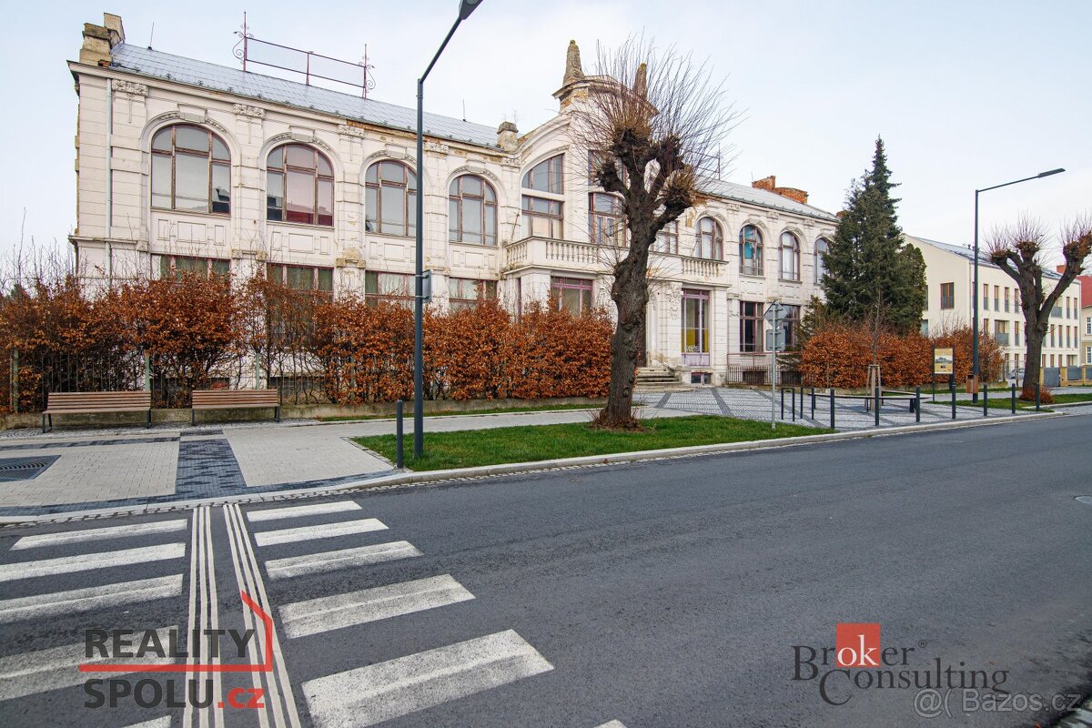 Prodej, domy/památka/jiné, 3090 m2, Mikulášská, Pod Bezručov - 16