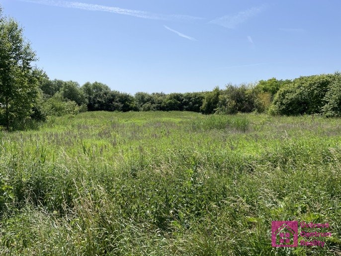 Prodej stavebního pozemku, 7 284 m², Diváky, ev.č. 00112 - 16