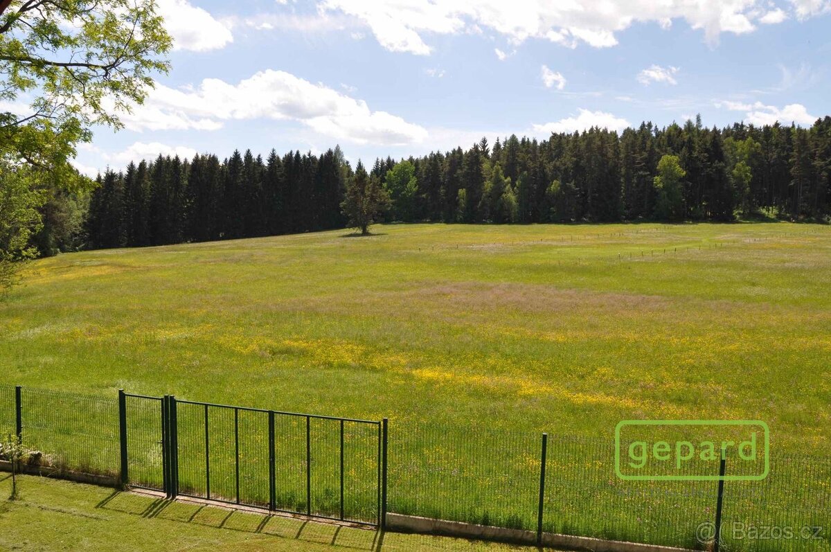 Prodej, Rodinný dům 222 m2, pozemek 7 330 m2, Dvory u Lažišť - 16