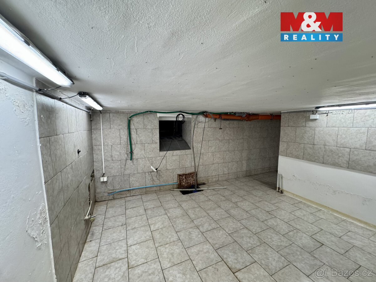 Pronájem výrobního objektu, 220 m², Hostomice - 16