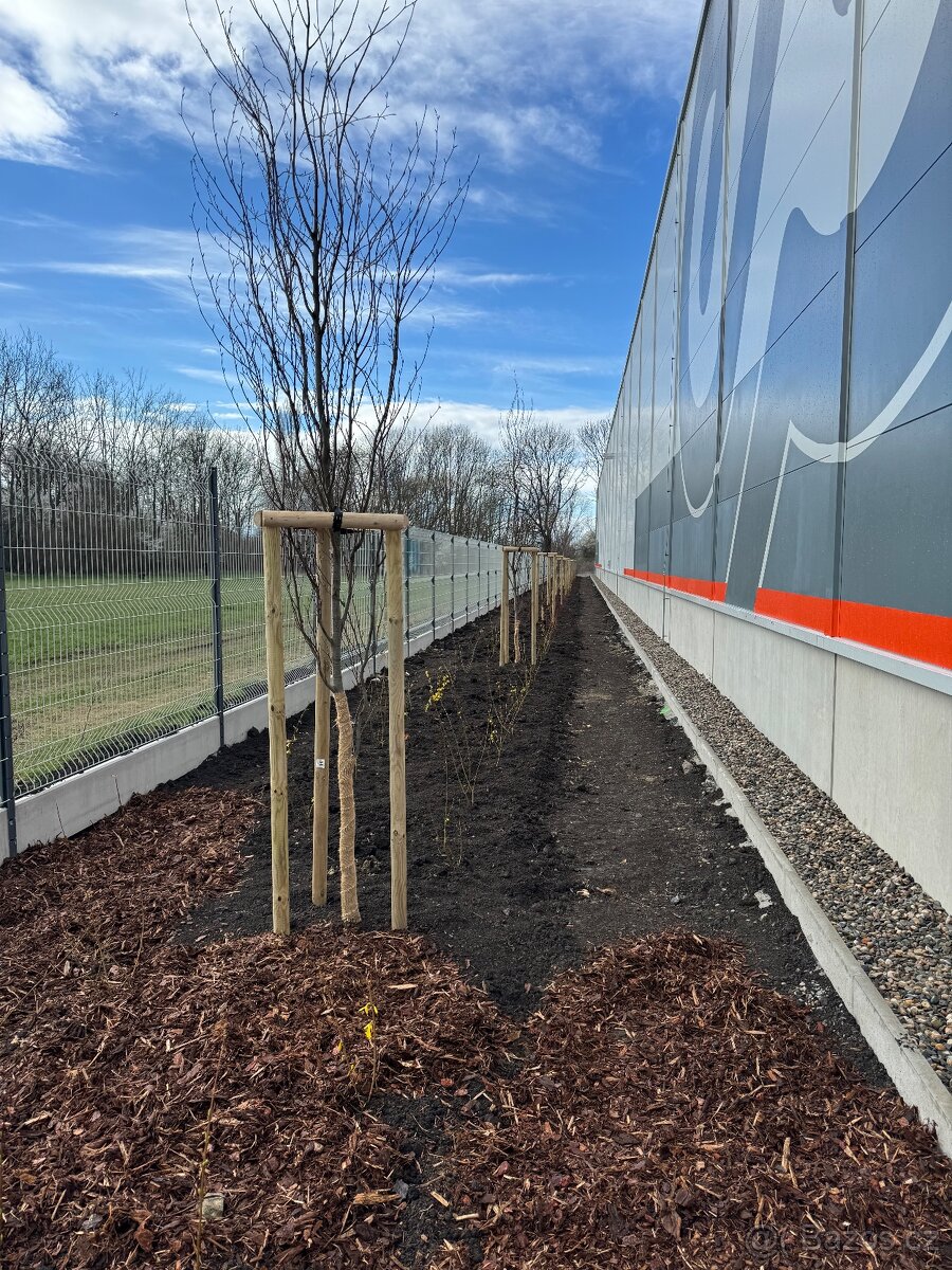 Údržba zeleně - 16