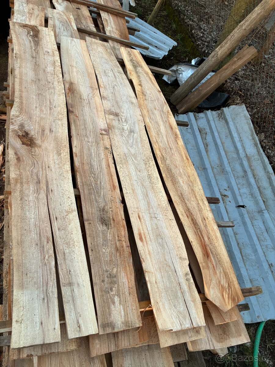 Jilm fošny, prkna - 16