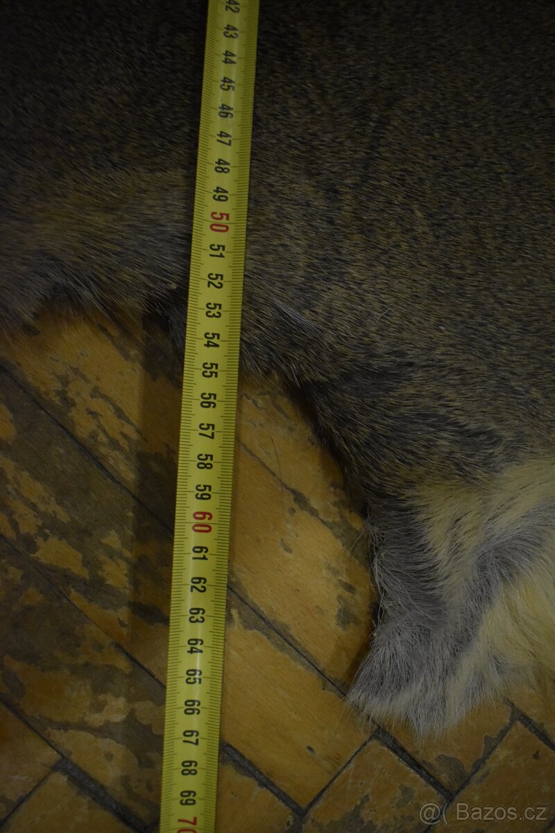 Kožešina Srna 1 - 16