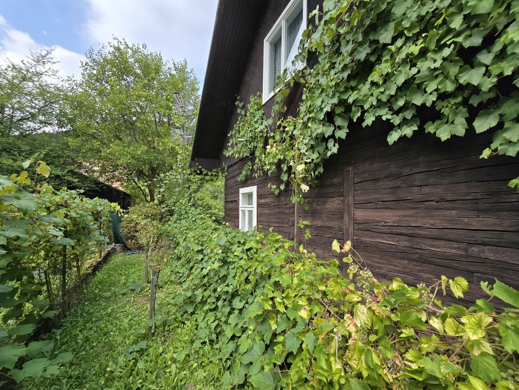 Malebná drevenica v pohraničí - 16