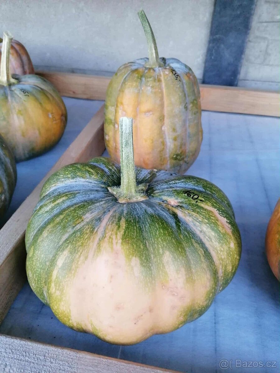 Prodej dýní - 16