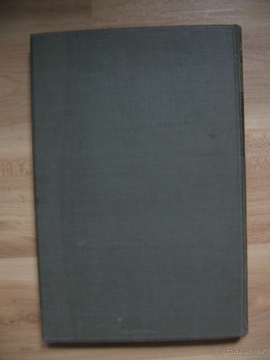 Alpine Majestäten und ihr Gefolge - A. Rothpletz, 1901 - 16