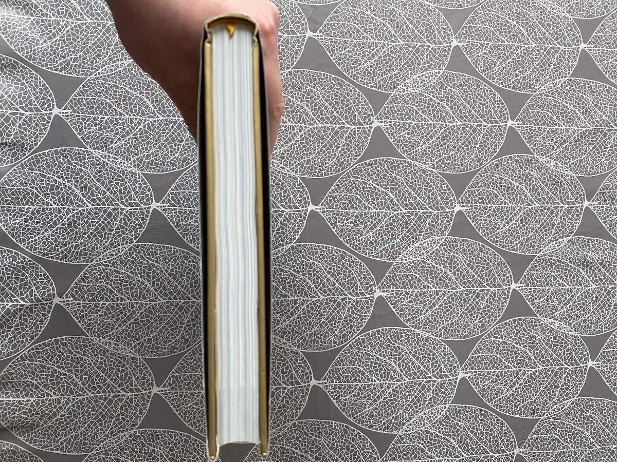 Nová kniha Cesta na tenisový trůn - 16