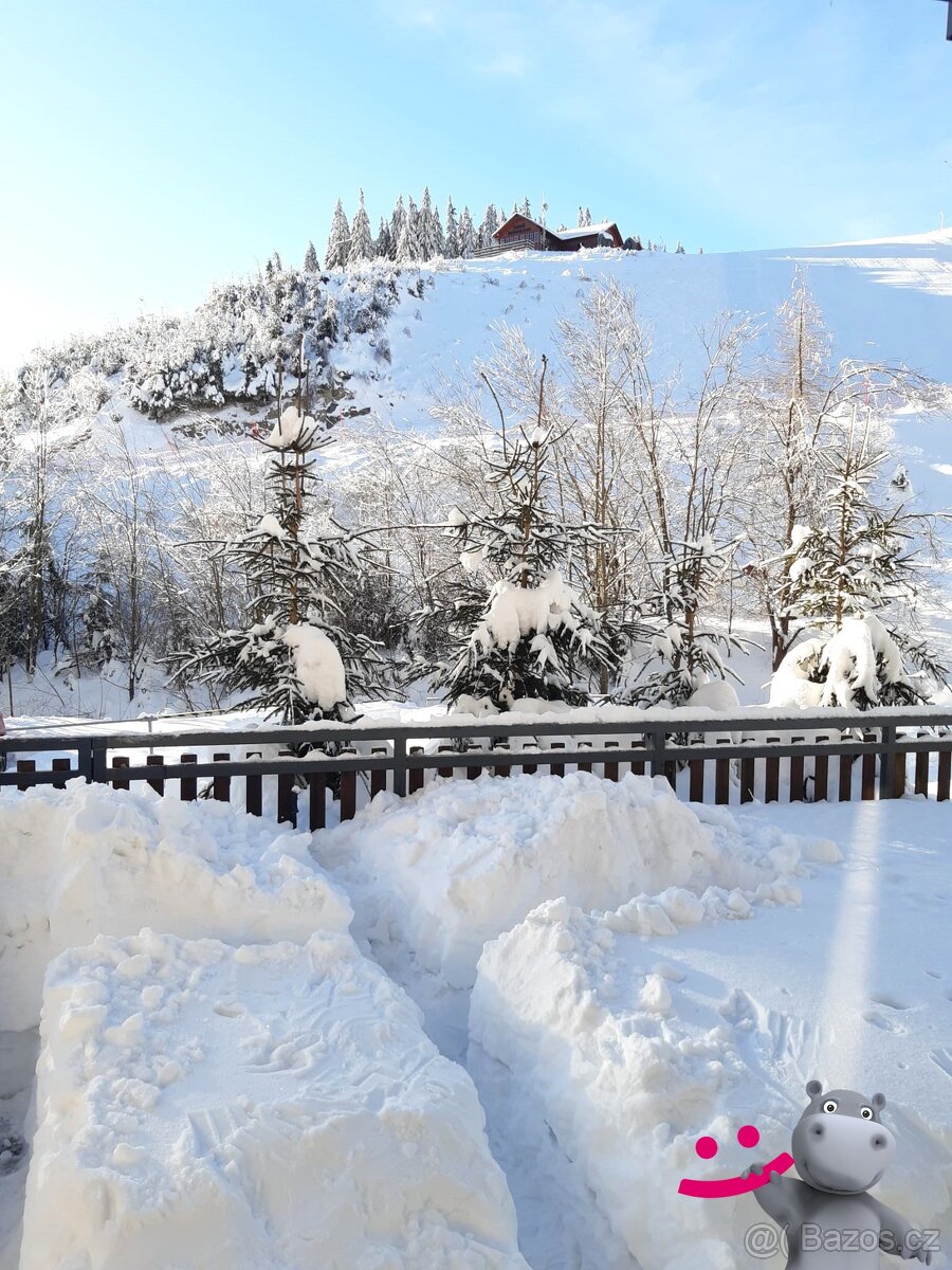 Prodej bytu 1kk + terasa, parkování, 40 m², Ostružná - Petří - 16