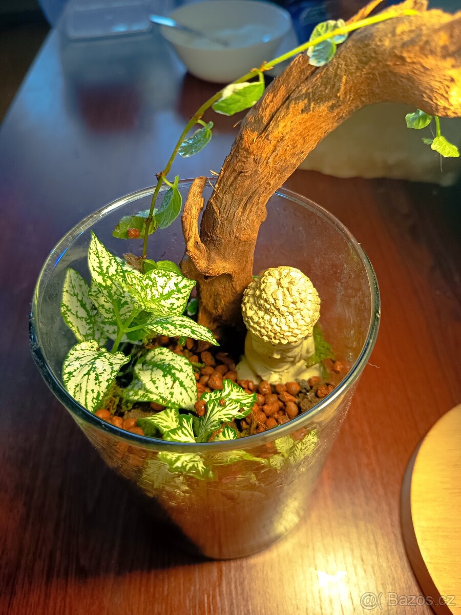 Prodej krevetek a doplňků - 16