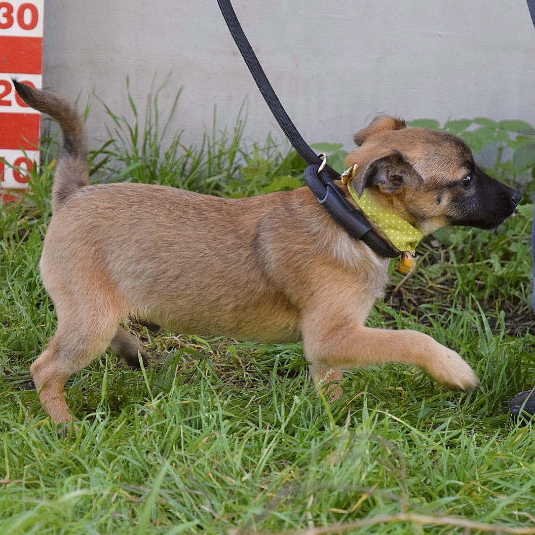 Samko hledá domov - 16