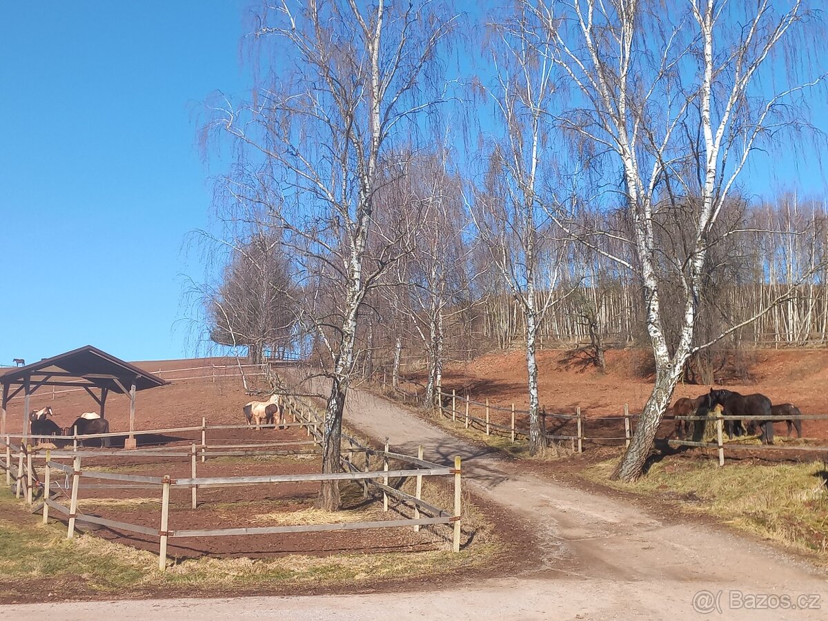 Ustájení-posledni box - 16