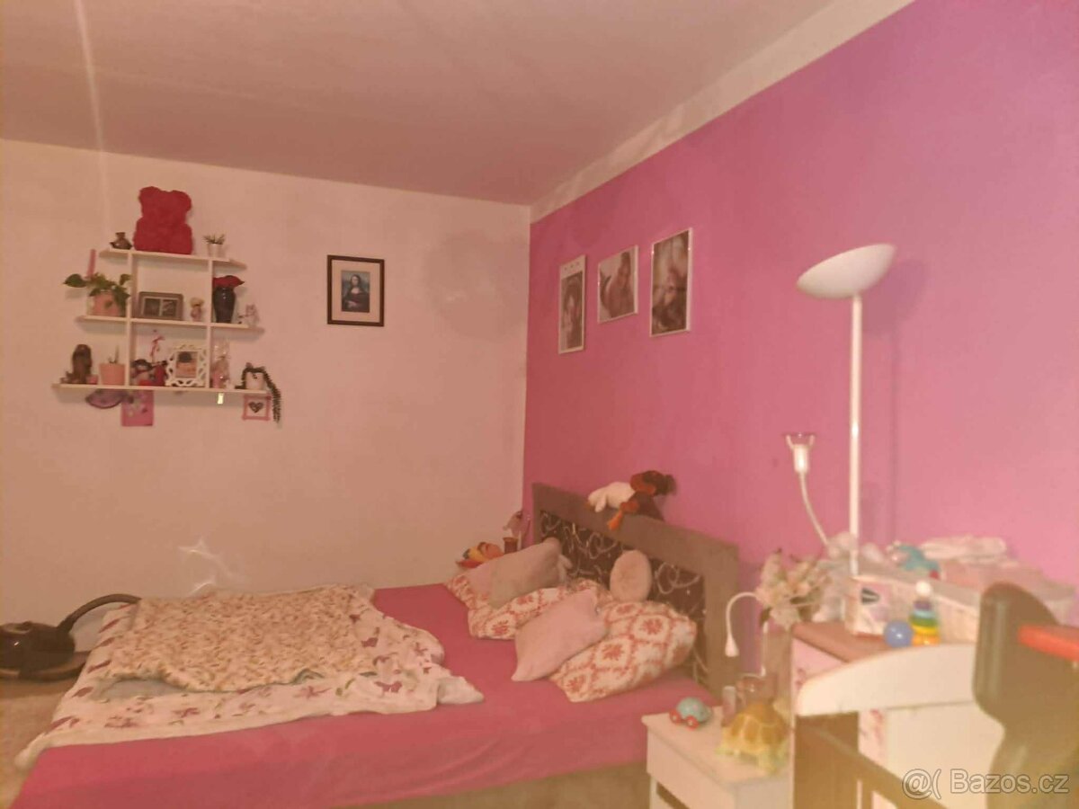 Pronajmu 3+1 s balkónem. - 16