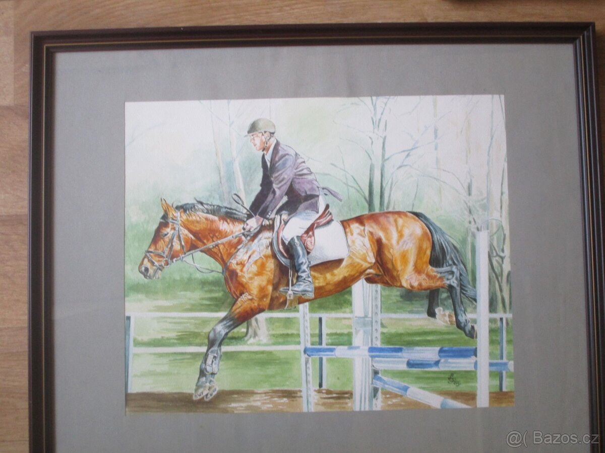 koně-potřeby - 16