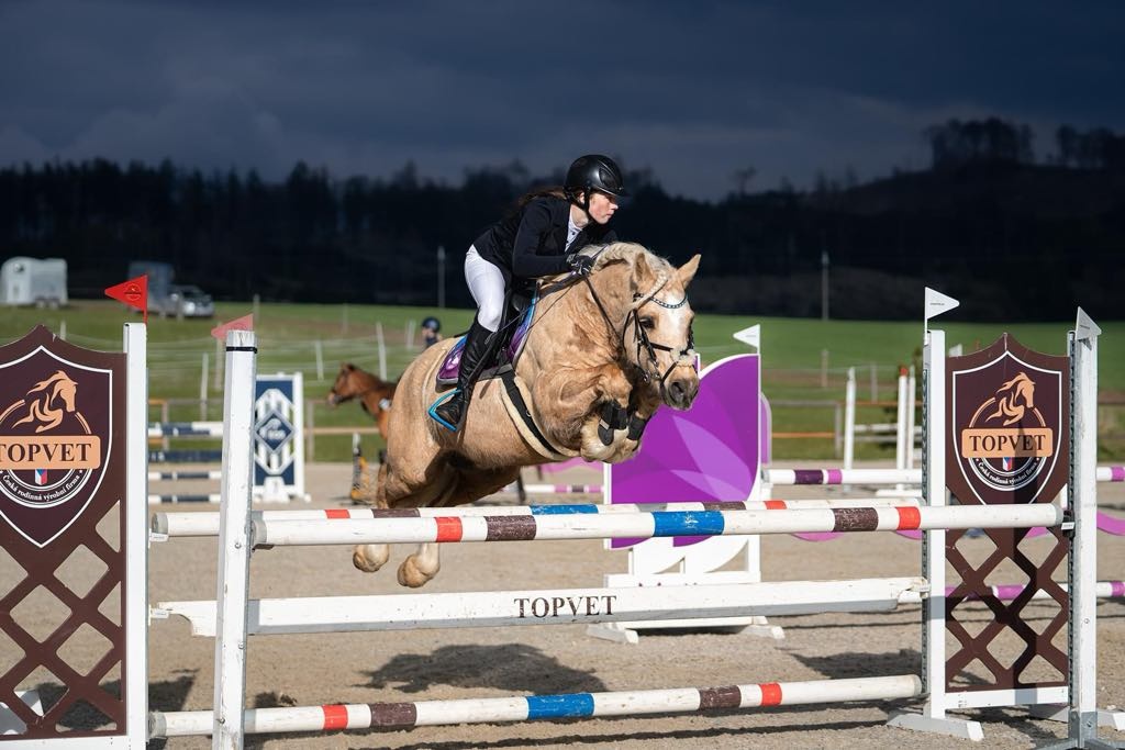 Sepík - stáj, kde se váš talent rozvine naplno - 16