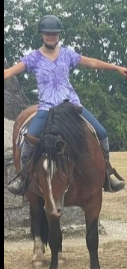 Hledám Ježdění/ Pronájem - 16