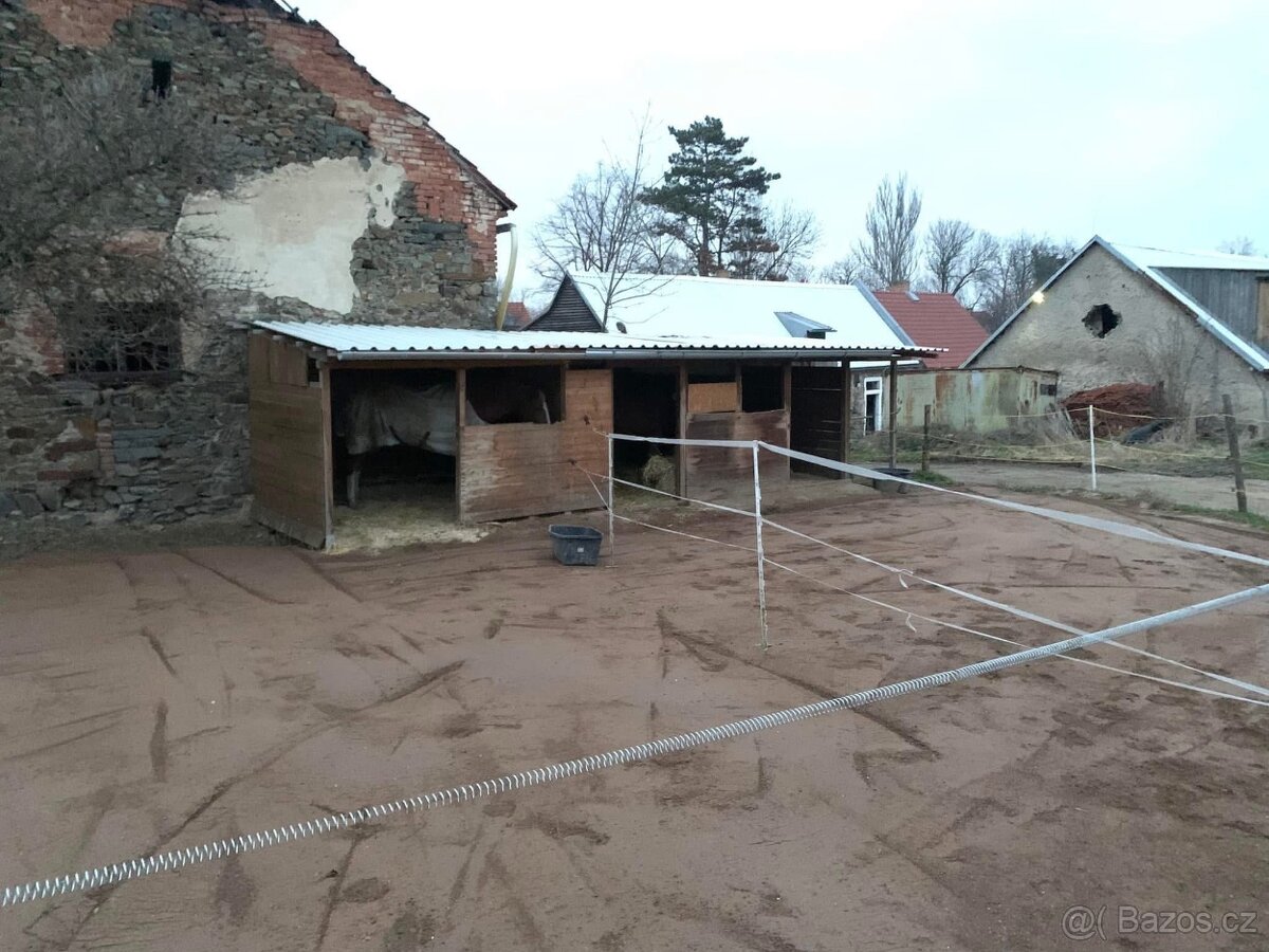 Ustájení Praha 4 - Písnice - 16