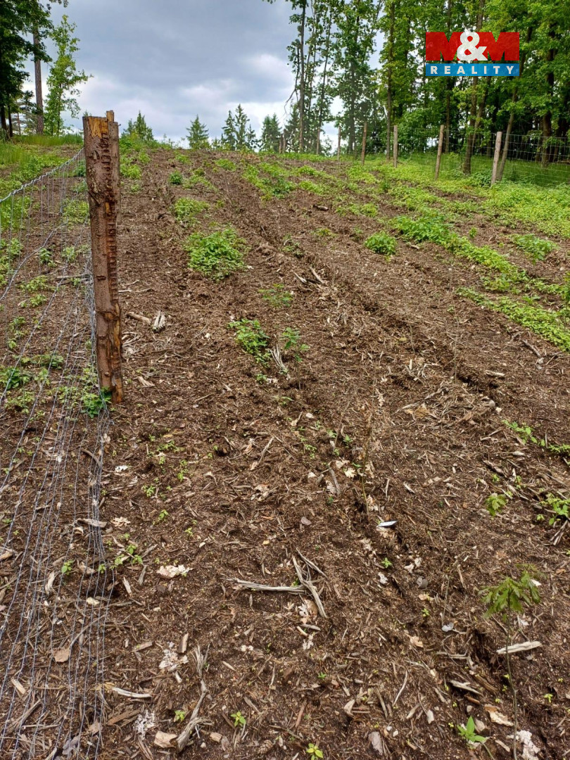 Prodej lesa, 9634 m², Hrazany - 16