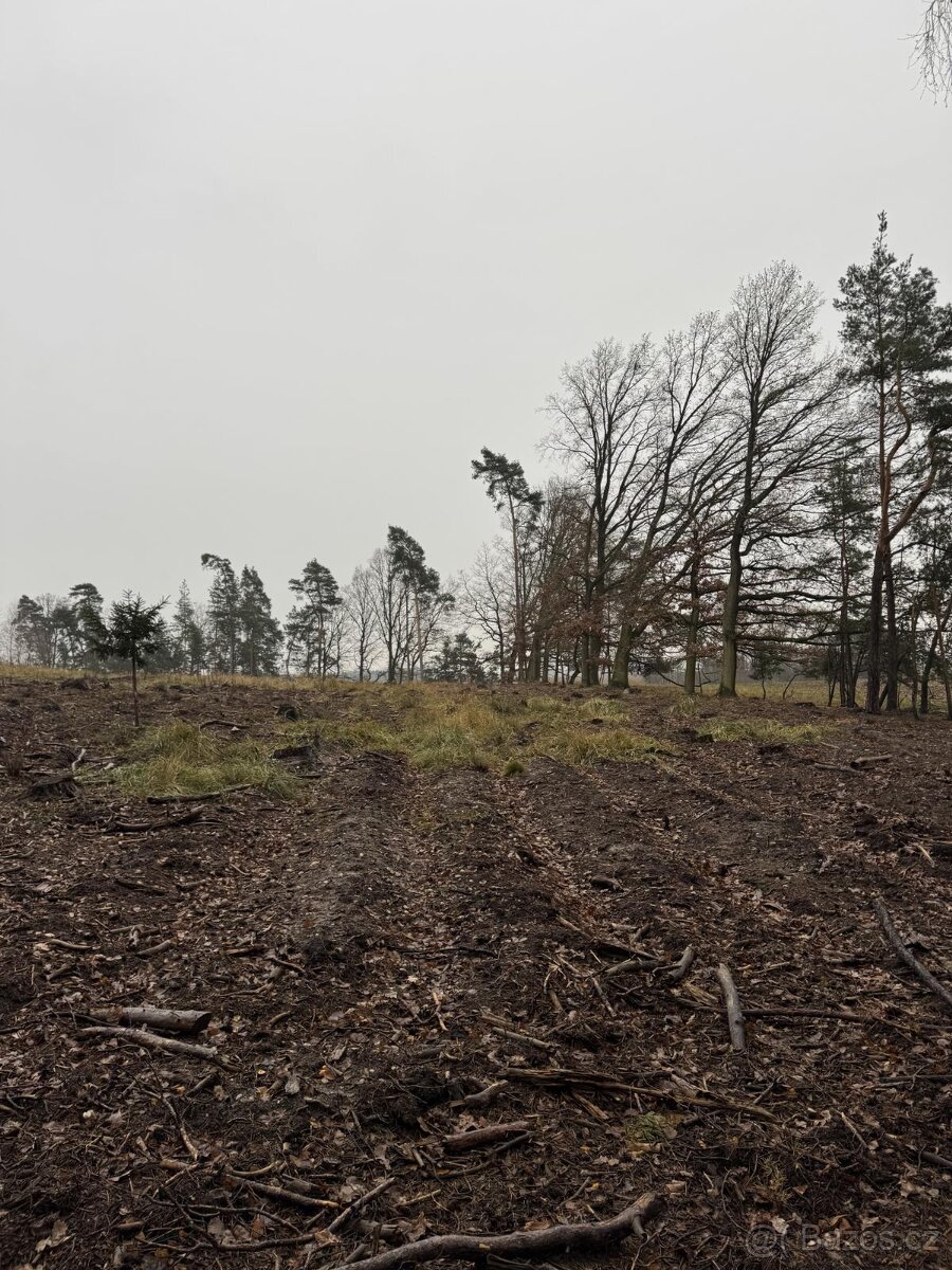 Prodám pozemky v k.ú. Veliny - 16