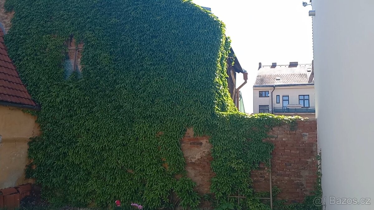 Dům u náměstí Vackova 63. - 16