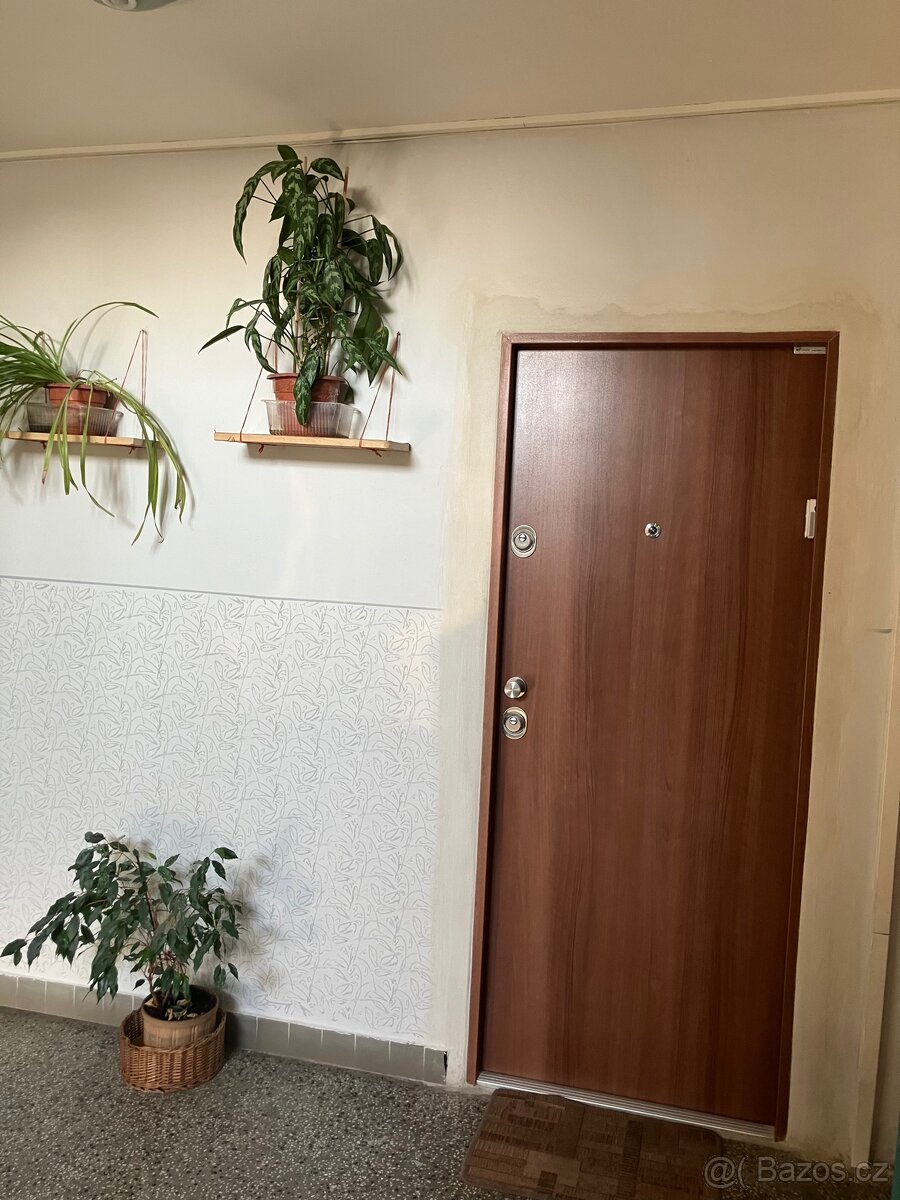 Pronajem 1+1 Vyskovicka - 16