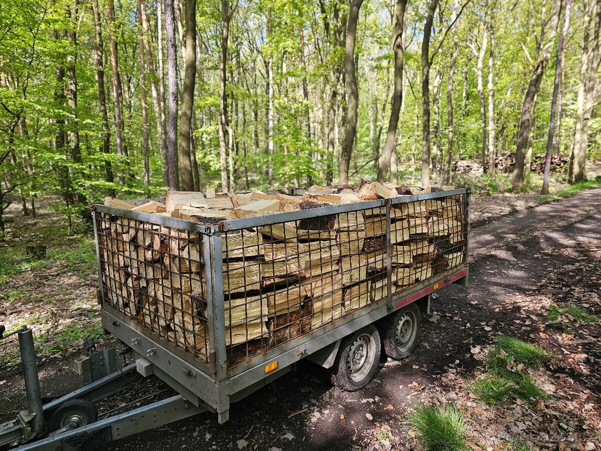 Palivové dřevo - 16