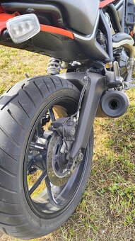 Ducati Scrambler Icon 800 2021 - 16