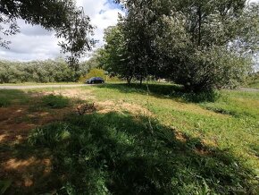 Prodej zahrady 200 m² Třesovice - Popovice - 16